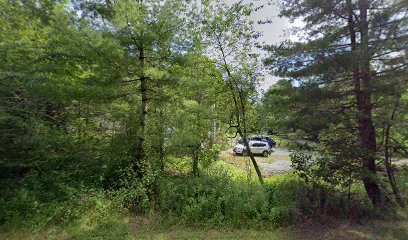 mountaineer home tinting
